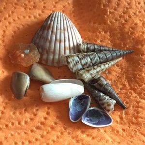 Meet your Posher, Luanne